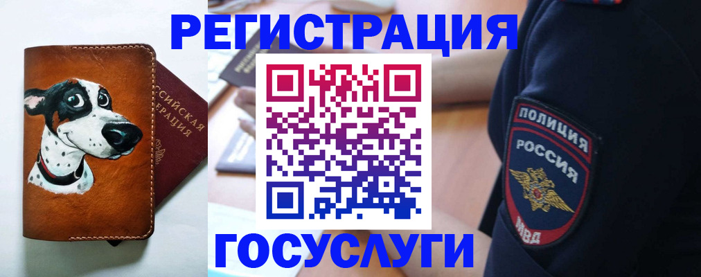 временная регистрация в квартире в Барыше